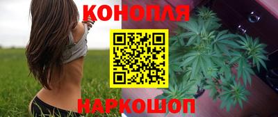 прущие грибы Будённовск