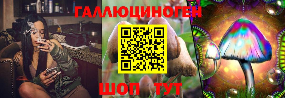Галлюциногенные грибы Psilocybe  Галлюциногенные грибы мухоморы  Вход с VPN  Снежинск 
