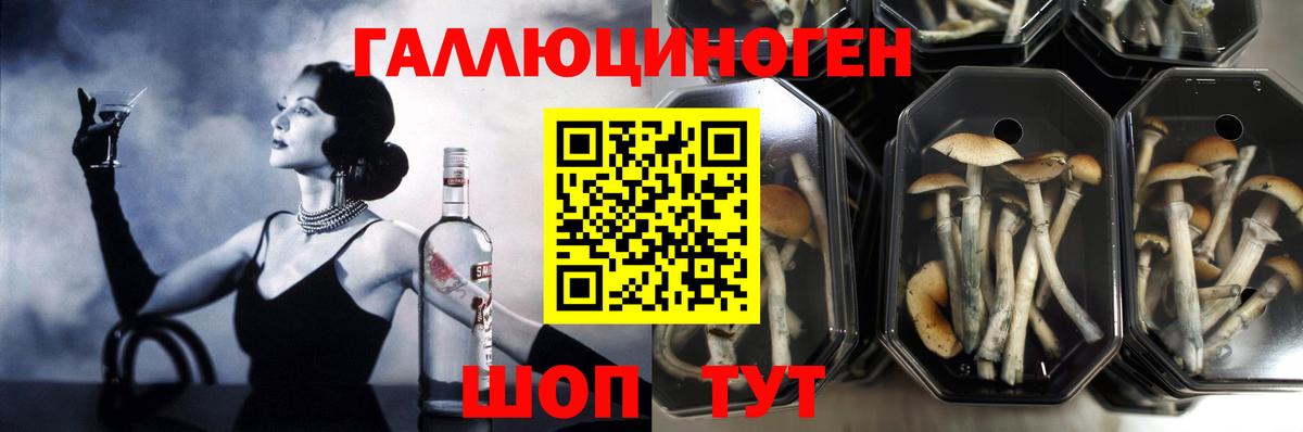 Псилоцибиновые грибы прущие грибы Снежинск